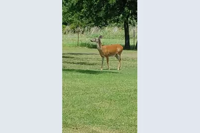 2400 Springfield Road, Springtown, TX 76082 - Photo 29