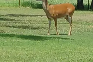 2400 Springfield Rd, Springtown, TX 76082 - Photo 29