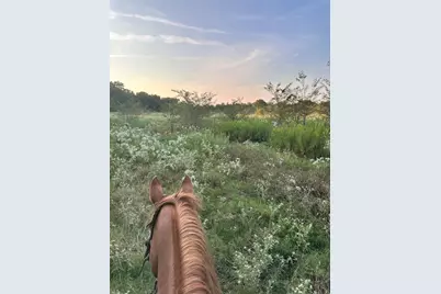 0000 County Road 3226, Lone Oak, TX 75453 - Photo 13