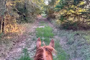 0000 County Road 3226, Lone Oak, TX 75453 - Photo 1