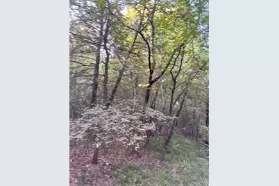 Tbd County Road 3226, Lone Oak, TX 75453 - Photo 5