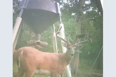 2340 Wright Road, Sherman, TX 75092 - Photo 37