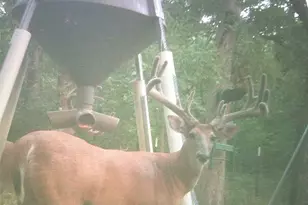 2340 Wright Rd, Sherman, TX 75092 - Photo 37