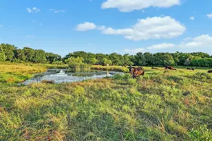 2340 Wright Rd, Sherman, TX 75092 - Photo 3