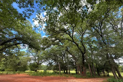 9213 Scenic Drive, Pilot Point, TX 76258 - Photo 13