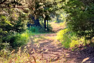 9213 Scenic Drive, Pilot Point, TX 76258 - Photo 21