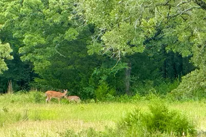 9213 Scenic Drive, Pilot Point, TX 76258 - Photo 7