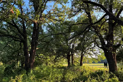 9213 Scenic Drive, Pilot Point, TX 76258 - Photo 25