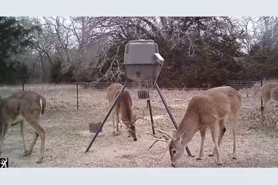 9213 Scenic Drive, Pilot Point, TX 76258 - Photo 39