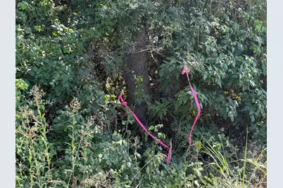 Tract 1 County Road 5045, Leonard, TX 75452 - Photo 5