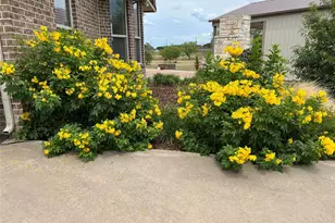 1101 S Clear Cove Ct, Possum Kingdom Lake, TX 76449 - Photo 19