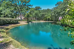 1980 Gertie Barrett Rd, Mansfield, TX 76063 - Photo 29