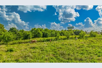 415 Division Street, Greenville, TX 75401 - Photo 13