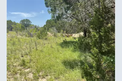 18228 Fm-56, Kopperl, TX 76652 - Photo 19