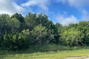 12028 Shady Creek & Trailwood Dr Dr, Whitney, TX 76692 - Photo 1