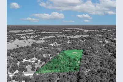 Tbd County Road 1909, Canton, TX 75117 - Photo 1