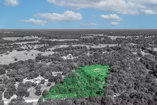 Tbd County Road 1909, Canton, TX 75117 - Photo 1