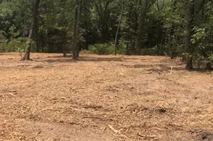 1 856Acs Cr-3622, Quinlan, TX 75474 - Photo 1