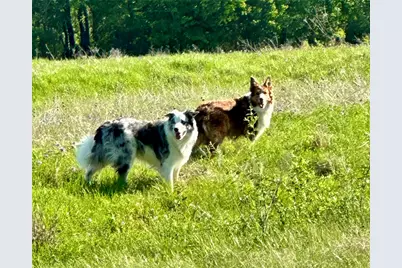 3485 Stonewall Road, Wylie, TX 75098 - Photo 31