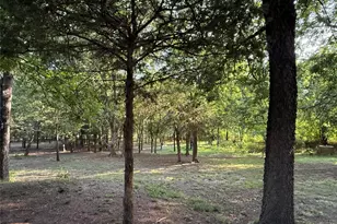 2715 Co Rd 325, McKinney, TX 75069 - Photo 11