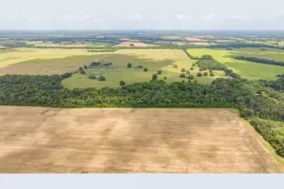 298 Quail Hollow Trail, Paris, TX 75462 - Photo 9