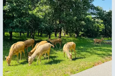 8301 Trophy Pointe, LaRue, TX 75770 - Photo 19