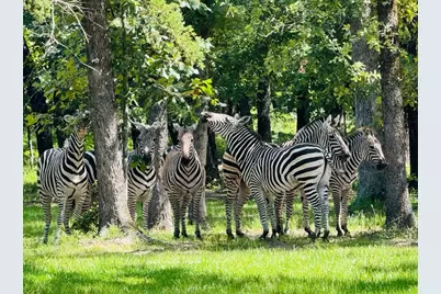 8301 Trophy Pointe, LaRue, TX 75770 - Photo 15