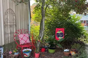 313 Sundown Trail, Tool, TX 75143 - Photo 39