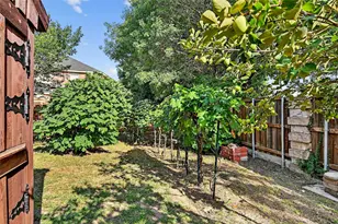 4829 Cedar Crest Dr, McKinney, TX 75070 - Photo 35