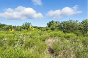 2300 Jessica Dr, Mansfield, TX 76063 - Photo 33