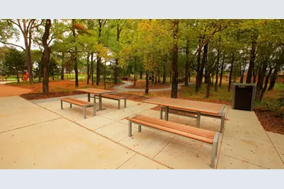 329 Bay Laurel Road, McKinney, TX 75071 - Photo 33