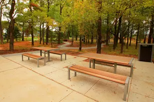 329 Bay Laurel Rd, McKinney, TX 75071 - Photo 33