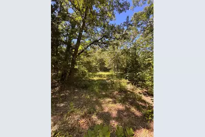 Lot 19 Saddle Creek Ct., Alba, TX 75410 - Photo 9