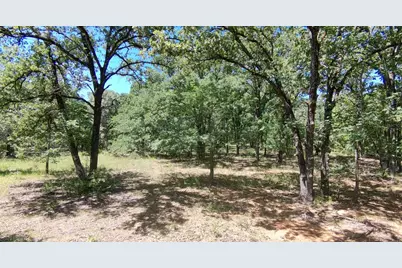 Lot 19 Saddle Creek Ct., Alba, TX 75410 - Photo 1