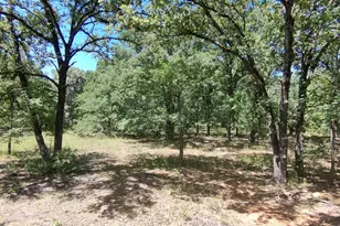 Lot 19 Saddle Creek Ct, Alba, TX 75410 - Photo 1