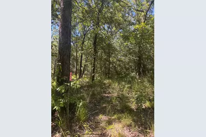 Lot 19 Saddle Creek Ct., Alba, TX 75410 - Photo 9