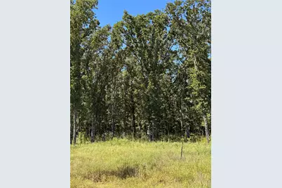 Lot 19 Saddle Creek Ct., Alba, TX 75410 - Photo 5