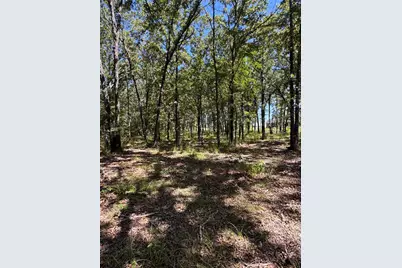 Lot 19 Saddle Creek Ct., Alba, TX 75410 - Photo 3