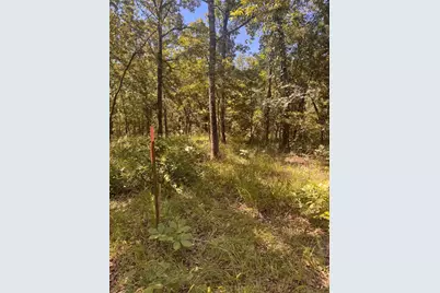 Lot 19 Saddle Creek Ct., Alba, TX 75410 - Photo 7