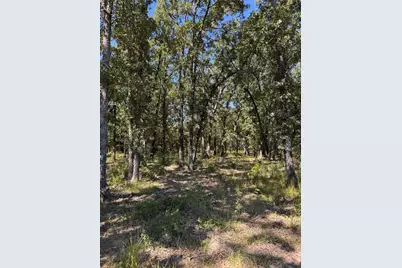 Lot 19 Saddle Creek Ct., Alba, TX 75410 - Photo 5