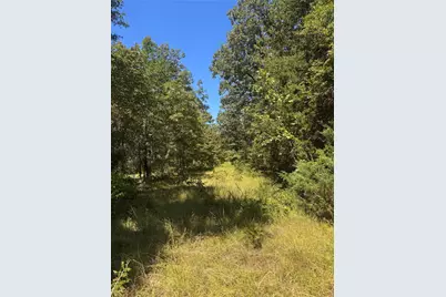 Lot 19 Saddle Creek Ct., Alba, TX 75410 - Photo 1