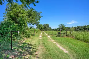 8855 County Rd 107, Grandview, TX 76050 - Photo 5