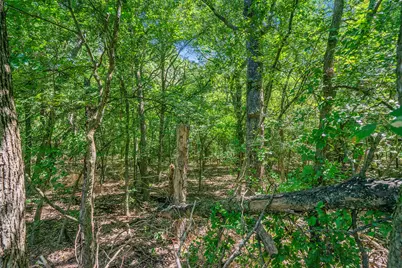 8855 County Road 107, Grandview, TX 76050 - Photo 33