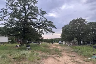 202 Salt Creek Rd, Springtown, TX 76082 - Photo 17