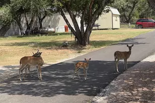2334 San Bar Rd, Possum Kingdom Lake, TX 76449 - Photo 23