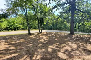 102 Cordoba St, Payne Springs, TX 75156 - Photo 5