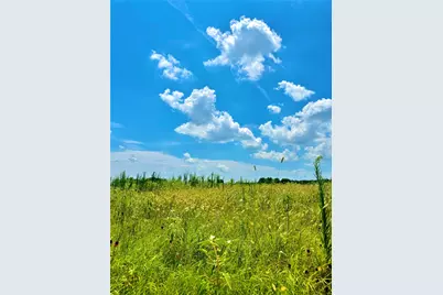 Tbd Tract 24 County Rd 3644, Pickton, TX 75471 - Photo 5