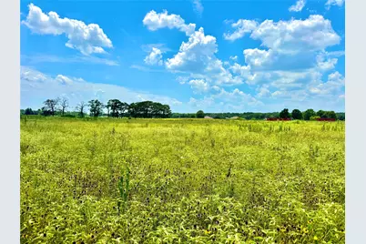 Tbd Tract 24 County Rd 3644, Pickton, TX 75471 - Photo 1
