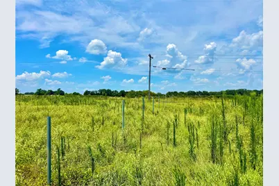 Tbd Tract 24 County Rd 3644, Pickton, TX 75471 - Photo 3