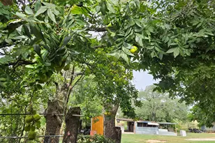 521 State Hwy 16 N, Goldthwaite, TX 76844 - Photo 17